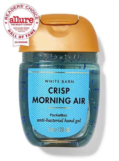 Санітайзер Bath and Body Works Crisp Morning Air 29 мл