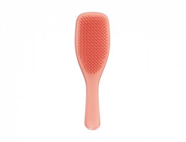 Гребінець для волосся Tangle Teezer - The Wet Detangler F&F Cinnamon